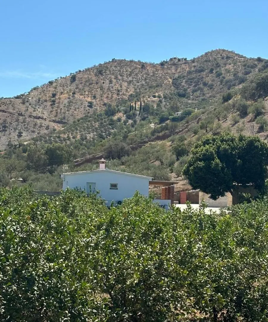 Casa De Huespedes Arroyo Bujias - 3 Habitaciones Con Bano Privado Individual Alora 0*,  Spain